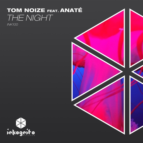 Tom Noize, Anaté - The Night [INK100]